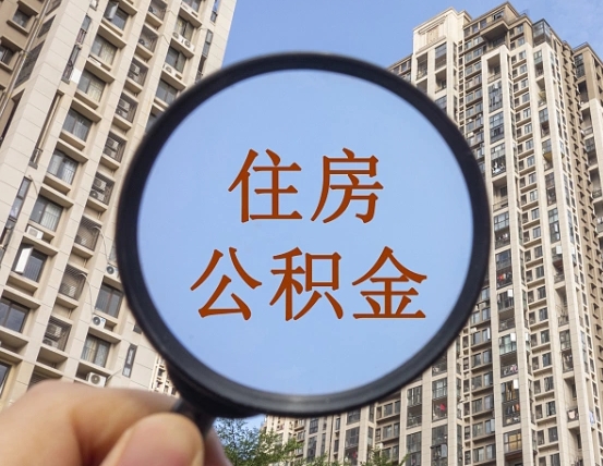 陇南退休后查不到公积金明细了吗（退休后公积金查询不到原因）